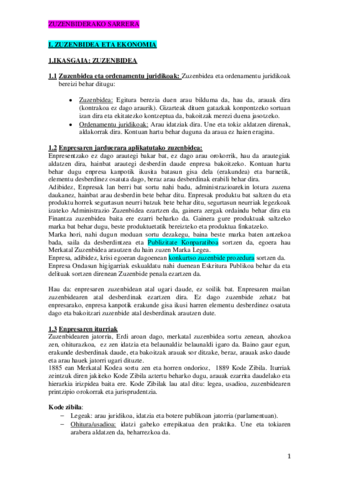 Zuzenbide-Teoria-Osoa.pdf