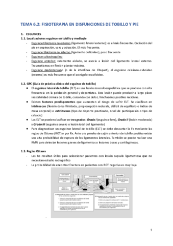 Tema-6.pdf