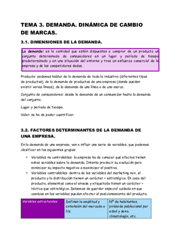 POLITICAS-DE-MARKETING-TEMA-3.pdf