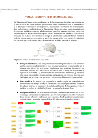 Tema 1. Concepto VSM.pdf