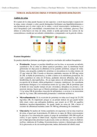 Tema 8. Análisis de orina VSM.pdf