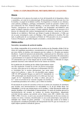 Tema 14. Exploración del metabolismo de la glucosa VSM.pdf