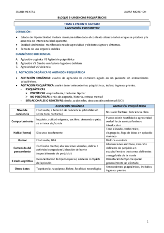 RESUMENES-BLOQUE-5(T2)-LAURA-MORCHON.pdf