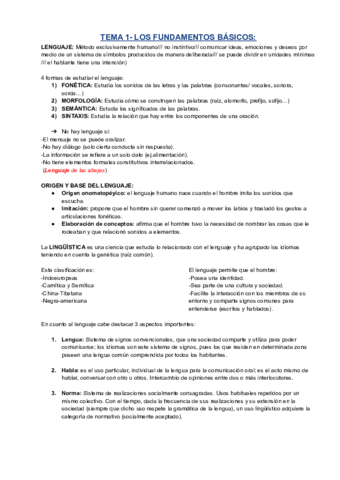 RESUMEN-CASTE-T.pdf