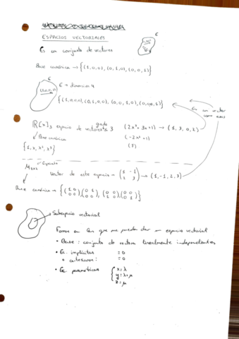 Algebra-1-Espacios-vectoriales.pdf