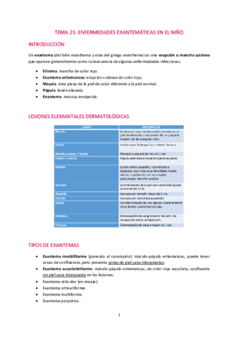 T23-Enfermedades-exantematicas-en-el-nino.pdf