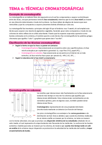 Tema-6.pdf