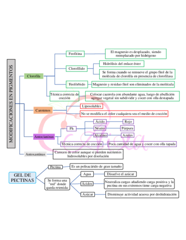 4-Modificacion-en-pigmentos-y-gel-de-pectinas.pdf