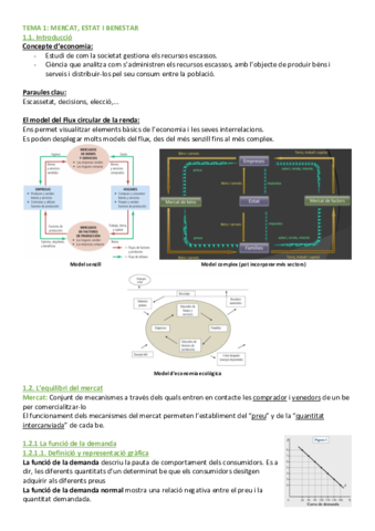 TEMA-1MERCAT-ESTAT-I-BENESTAR.pdf