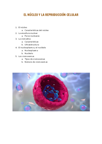 EL-NUCLEO-Y-LA-REPRODUCCION-CELULAR.pdf