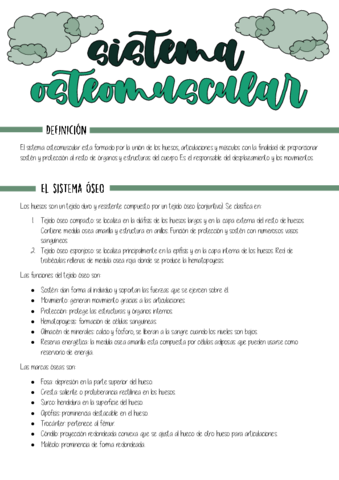 Sistema-Osteomuscular.pdf