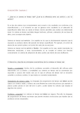 Resumen-Txelos.pdf