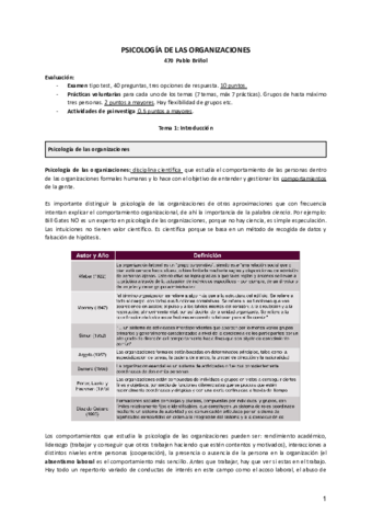 Organizaciones-470-Pablo-Brinol.pdf