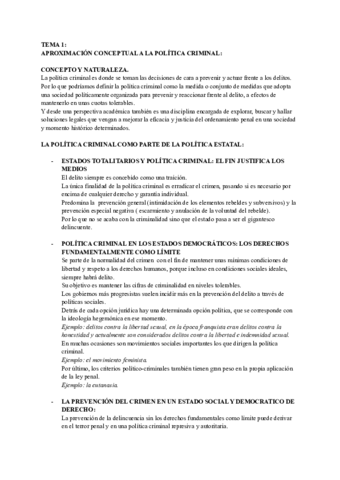 RESUMENES-POLITICA-CRIMINAL-2.pdf