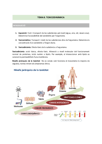 TEMA-8.pdf