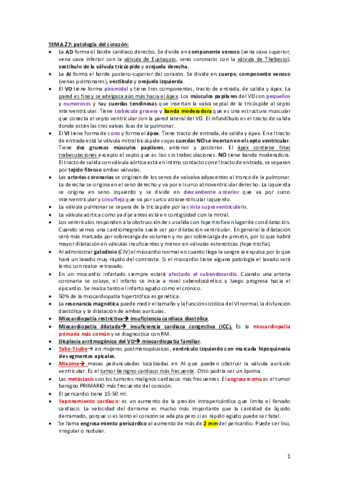 RAYOS-SEGUNDA-PARTE.pdf