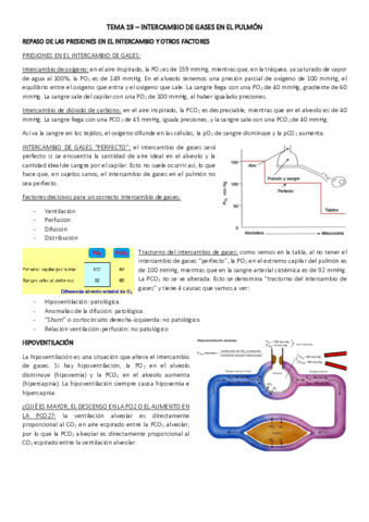 TEMA-19.pdf