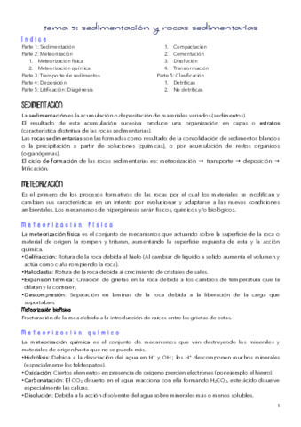 TEMA-5.pdf