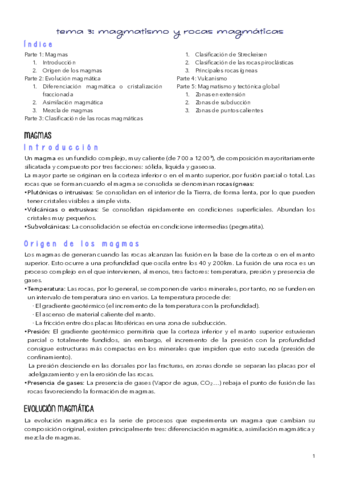 TEMA-3.pdf