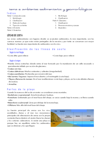 TEMA-6.pdf