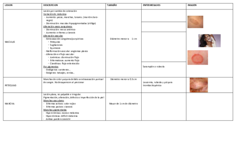 TABLAS-RESUMEN-LESIONES-TEGUMENTARIO.pdf