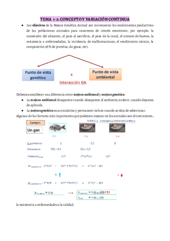 Mejora-genetica-Apuntes.pdf