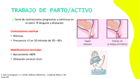 Periodos-y-mecanismos-del-trabajo-de-parto.pdf