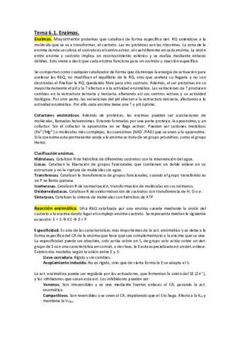 Tema-6.pdf