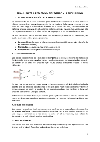 TEMA-2-P3-PERCEPCION-DEL-TAMANO-Y-LA-PROFUNDIDAD.pdf