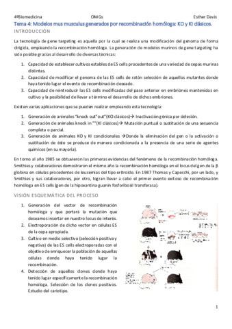 Tema-4-Modelos-mus-musculus-generados-por-recombinacion-homologa-KO-y-KI-clasicos.pdf