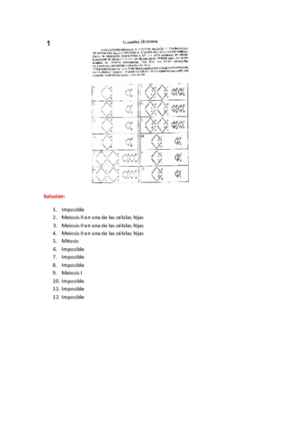 SOLUCIONES seminario árboles genealógicos.pdf
