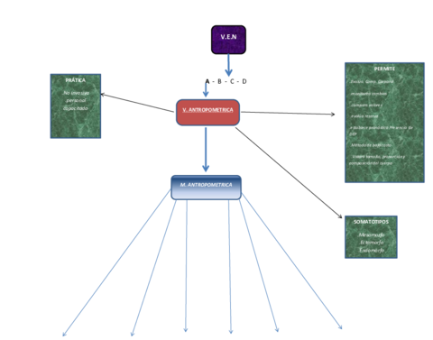 5-ANTROPOMETRIA.pdf