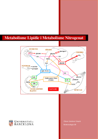 Metabolisme-Animal-2.pdf