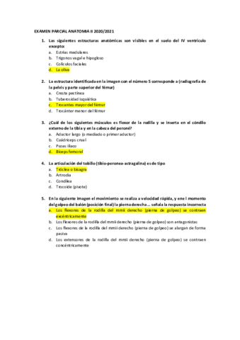 examenes-ANATO-II-TODOS-completo.pdf