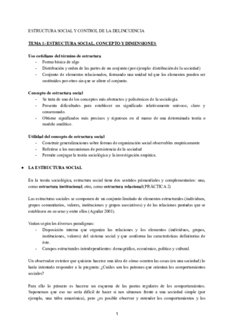 TEMA-1-ESTRUCTURA-SOCIAL-Y-CONTROL-DE-LA-DELINCUENCIA.pdf