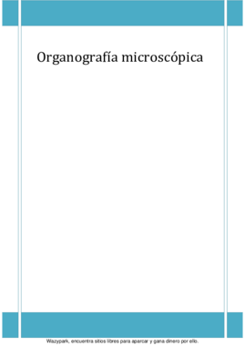 Apuntes OrganografÃ­a.pdf
