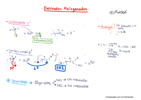 Esquema visual de reacciones 2 (útil para estudiar).pdf