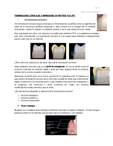 19.pdf
