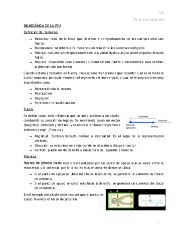 11.pdf