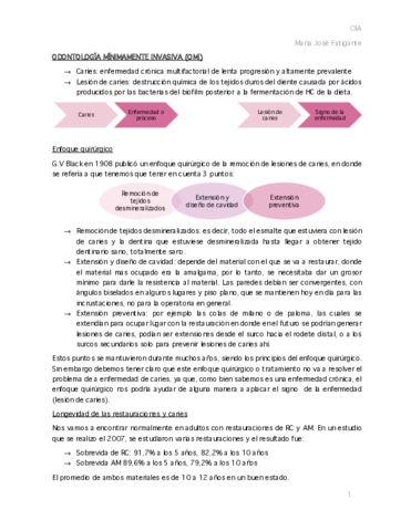 13.pdf