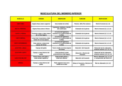 MUSCULOS-DEL-MIEMBRO-INFERIOR.pdf