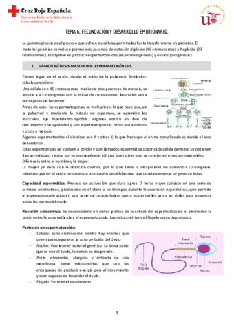 Tema-6-Reproductiva.pdf