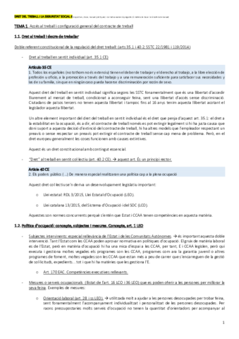 DRET-LABORAL-2.pdf