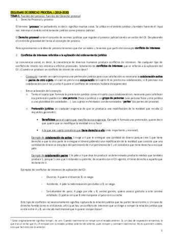 PROCESAL-1-todo.pdf