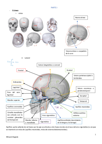 laboratorio.pdf