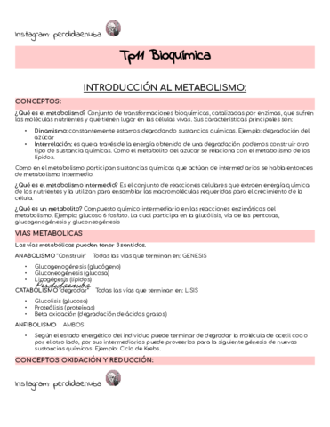 Tp11-Bioquimica.pdf