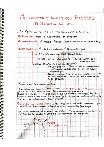 Reparacion-y-duplicacion-del-ADN.pdf