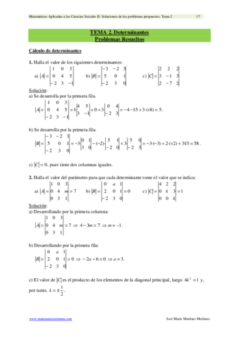 T02-Problemas-Determinantes.pdf