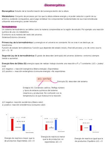 Bioenergetica.pdf