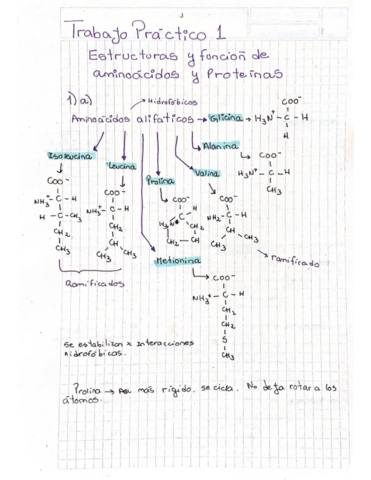 Trabajo-practico-1.pdf